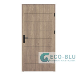 Puerta modelo IBI Serie 55